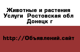 Животные и растения Услуги. Ростовская обл.,Донецк г.